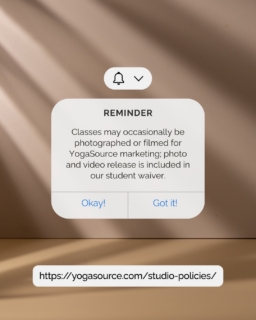 Classes may occasionally be photographed or filmed for YogaSource marketing; photo and video release is included in our student waiver.
#yogasourcepaloalto #yoga #selfcare #wellness #healthylifestyle #wellandgood #follow #fyp