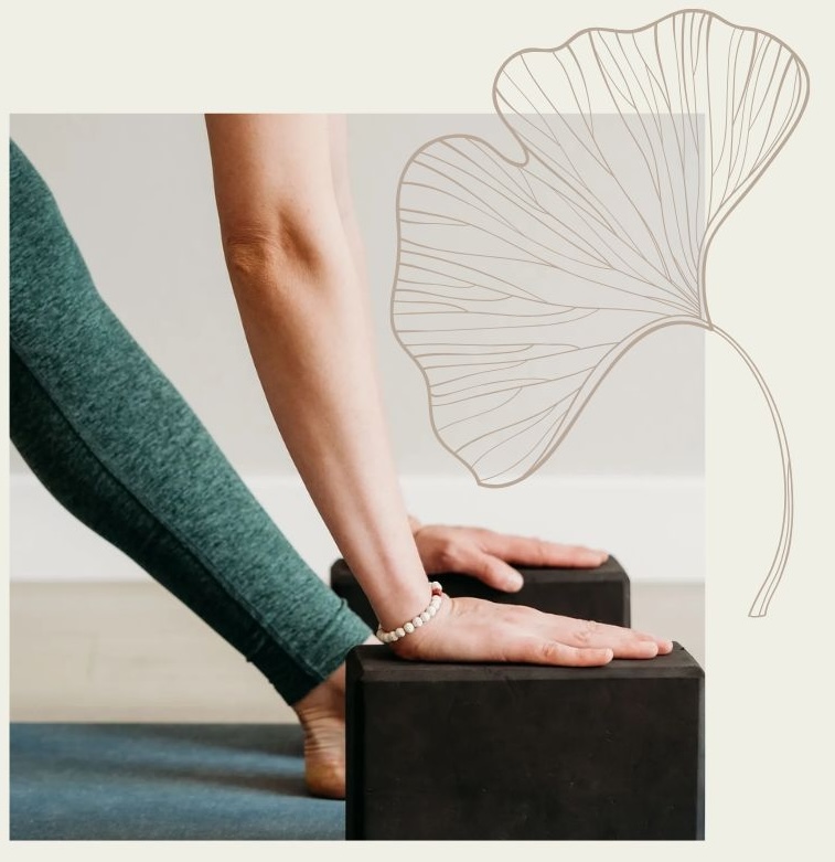 Website Elements - 1